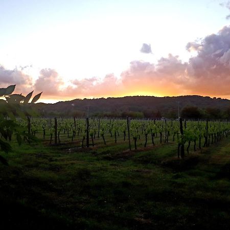 La Carreterie - Les Gites Pineuilh Bagian luar foto